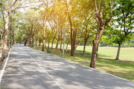 有绿色领域的长路季节新户外图片