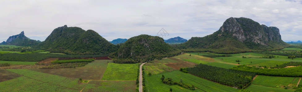 天线在雨季农业和美丽大自然中空观视全景山田和玉米农业美丽的自然生长季节图片