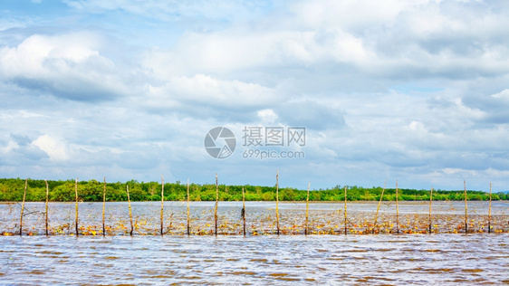 低的地平线泰国潮下渔网捕捞费舍尔图片