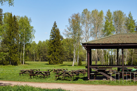在公园草原的夏日咖啡馆建造一个夏日咖啡厅木林露台草地社论图片