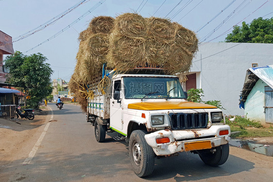 农田场业印度Tiruvanamalai街头装满干草篮的卡车图片