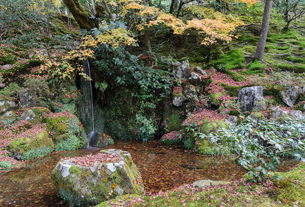 小型瀑布花园在日本京都金阁寺的田地上有落成树叶草木头日本人图片