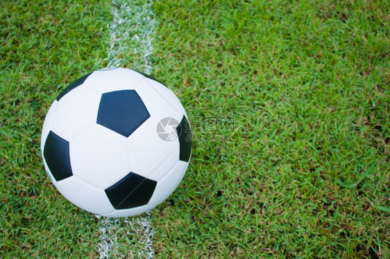 踢户外象征草地上的球边线新鲜的绿草黑白球图片
