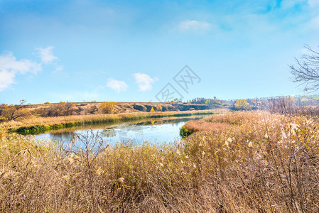 草农村河流明亮的秋天风景在河边的秋季自然池塘图片