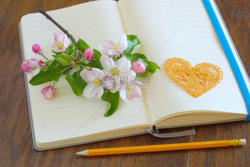 春花在空白的开放笔记本上用铅写着爱情信息符号浪漫字母日记美丽花情激概念空浪漫歌词本情人节热写作图片