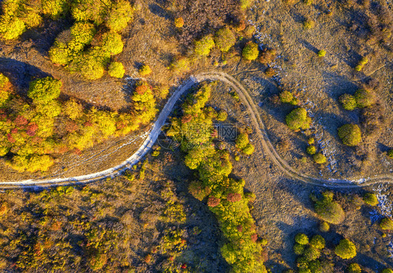 秋季森林中蜿蜒的道路图片