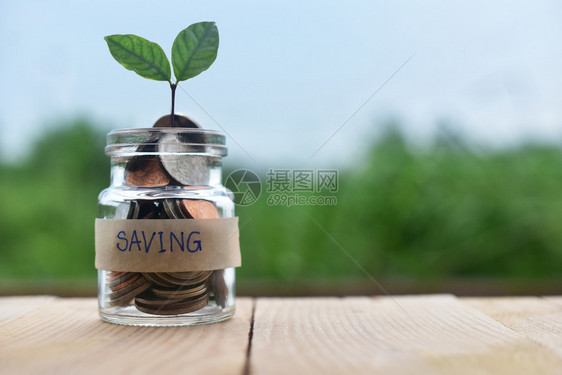 财富退休储蓄金融投资和商业增长拯救未来在罐头硬币上实现增长瓶中硬币的增长自然图片