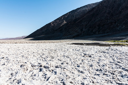 冬季雪地风光图片