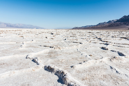 冬季雪地风光图片