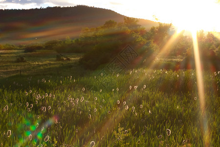 魔法环境落下明光太阳绿草地景观风图片