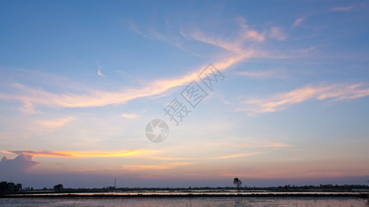 农场带水田和蓝天空的夏季土壤天背景图片