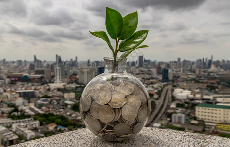 退休在硬币堆上生长的树苗在城市景观背的玻璃瓶中业务增长的象征和省钱的投资理念文本输入空间选择焦点现金银行业图片