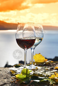 瑞士Lavaux地区葡萄园露台的两杯葡萄酒和红色的拉沃蒙特勒图片