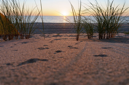 黎明抽象的天气太阳落在沙丘的地平线后面海边的日落太阳在沙丘的地平线后面图片