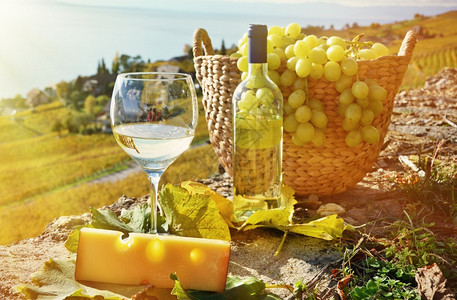 湖瑞士拉沃州葡萄和酒区起司优质的图片