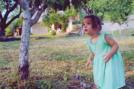 户外夏天秋小金发女孩在果园李树旁采摘成熟的有机羽女叶子图片
