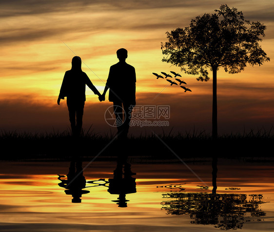 美丽的一对夫妇情轮男女在树上和有日落背景的鸟儿爱情概念女孩地平线图片