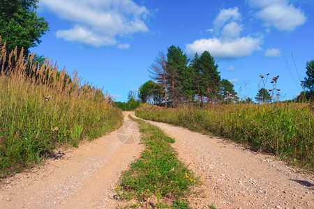 阳光夏季风景包括道路天空云草丛和树木车道目的地图片