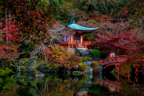 季节秋天日本京都大地寺的风景和多彩青树浴衣日本人图片