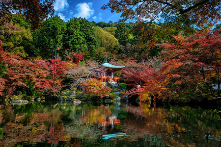 建筑学秋天日本京都大地寺的风景和多彩青树日本人美丽图片