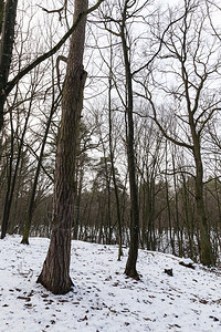 冬季雪在下后出现冬季的雪流在天飘动季哪一个白雪皑公园图片