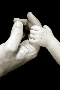 分享光滑的父亲成人持有婴儿手图片