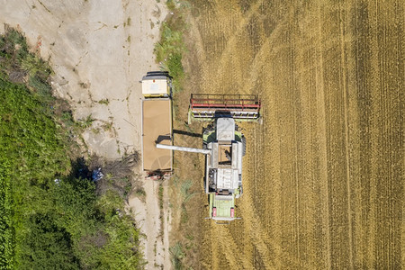 集成收割者上传粮食给倾卸卡车收获季节农业现场庄田天线工作生长图片