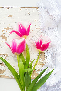 礼物旧白桌情人节卡片上的三朵美丽粉色郁金香旧白桌上的三朵美丽粉色郁金香开花多于图片