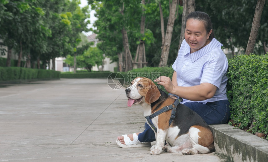 超重在公园的步行道上休息时轻地拖着她的小狗然后在公园里动物人们图片