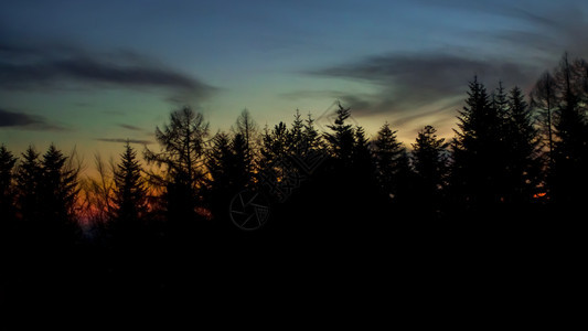 图片形状景观日出时在暗林上方有多彩的天空戏剧神秘橙图片