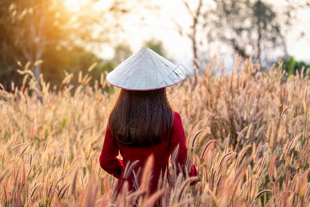 传统的年轻身着非洲喷泉花田传统越南文化的亚裔女妇美丽图片