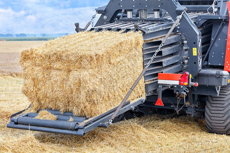 在小麦田和收割近距离复制空间的背景下在强大的农业拖拉机上形成一捆稻草为紧凑的布片在一个农业田中收获谷物的过程将草堆成一片变紧凑的背景图片