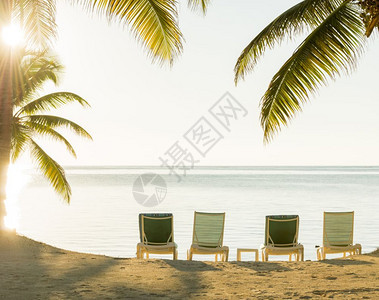 海岸复制在热带滩上的棕榈树在沙滩铺有甲板椅的热带海滩上漫过棕榈树叶子图片