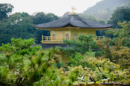 凉亭沉默的日本京都金殿寺或的堂日本安静的图片