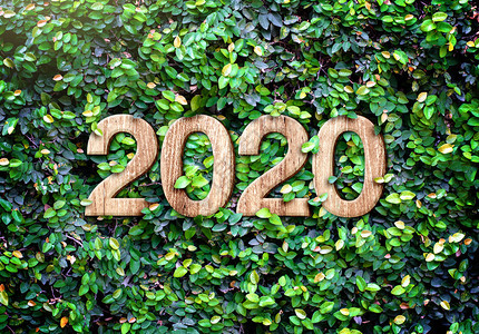 横幅绿叶墙壁背景自然生态概念有机贺卡节假日会用空间添加文字的新20年木质条纹号问候植物图片
