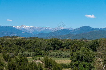 夏天美丽的一片绿林山地和蓝天空的风景一片绿色森林山地和蓝天空的风景一种图片