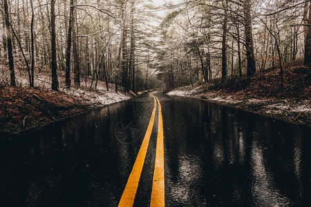 绿色转动森林中的一条湿路黄线为森林中的一条湿道路风暴图片