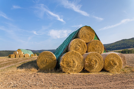 保护喂养覆盖德国的地貌景观谷物田中的草卷堆积如山图片