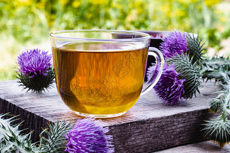 新鲜的开花桌子在大自然的木质背景上一杯本色茶子附近的花朵茶叶草药杯子里的香水茶杯旁边的一本丁茶图片