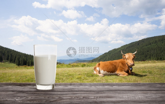 外部奶牛躺在牧场背景下的一杯鲜奶牛躺在牧场上的背景下天然食品玻璃杯液体一顿饭图片