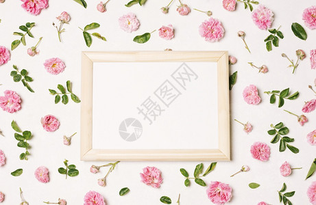 粉红花绿叶分辨率和优质的美丽摄影照片框架粉红色花绿叶高质量和清晰的漂亮照片概念高品质和清晰的美容图片精红色的花朵卡片图片