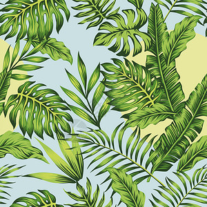 的热带丛林阳光日热带丛林蓝天空绿棕榈香蕉留下奇异的雨林背景花卉夏季无缝矢量图示墙纸海图片