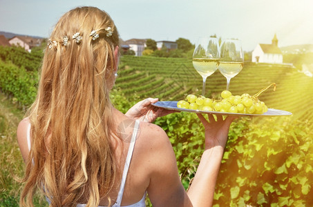 瑞士Rheinnau葡萄园盘子上酒和葡萄的女童藤蔓银白色的背景图片