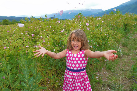 花园植物基本的在保加利亚玫瑰谷的快乐小女孩扔花瓣在保加利亚图片