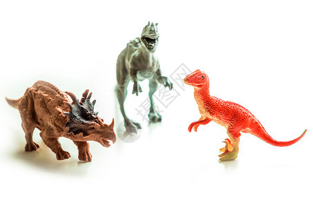 模型兽孤立的白色背景上恐龙玩具孤立的白色背景上小型恐龙玩具强的图片