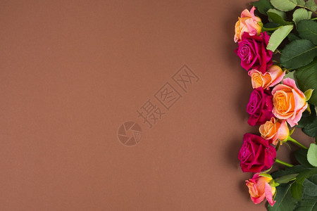 新鲜的玫瑰花框在一侧高分辨率照片玫瑰花框在一侧高质量照片卡书法图片