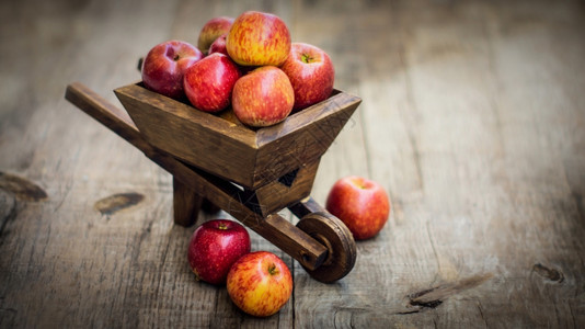 吃木头红苹果用本底的小型手推车农场图片