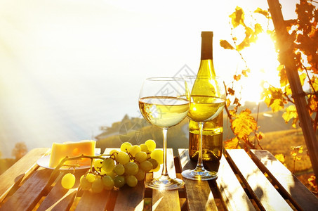 藤蔓瑞士日内瓦湖的葡萄酒和奶酪对抗瑞士日内瓦湖农村文化图片