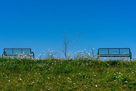 远足草地在没有云的天上双长椅在水面上娱乐图片