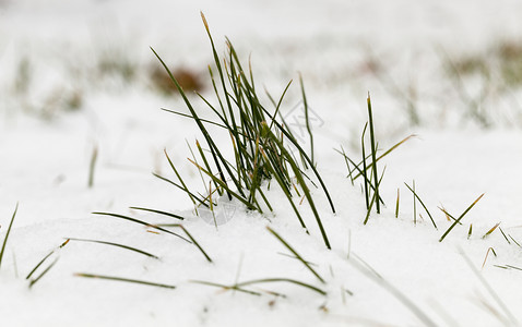 自然冬季雪在下后出现冬季的雪流在天飘动季非城市漂移图片